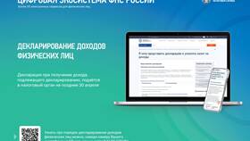 Что делает Федеральная налоговая служба (ФНС) в Элекс