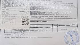 Что делать, если потерял чек в DNS в Элекс