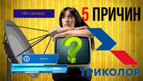 Что лучше: Триколор или НТВ+ в Элекс