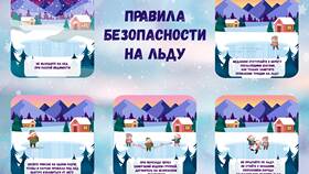 Что нужно знать перед звонком в Элекс