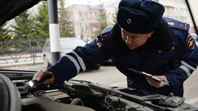 Что регистрируют при выдаче индивидуальных номеров работники ГИБДД в Элекс