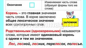 Что такое приставка в слове (4 класс) в Элекс