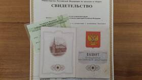 Что такое СНИЛС (фото документа) в Элекс