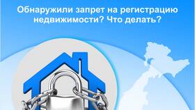 Что такое запрет на совершение регистрационных действий в Элекс