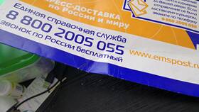 Доставка почтой EMS: что это в Элекс