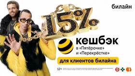 Как дозвониться в службу поддержки Билайн в Элекс