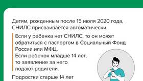 Как оформить СНИЛС в России в Элекс