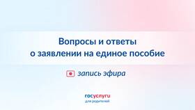 Как подать заявление на единое пособие через Госуслуги в Элекс