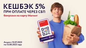 Как получить кэшбэк при оплате через СБП в Элекс