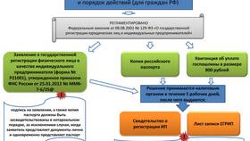 Как правильно заполнить заявление на регистрацию ИП в Элекс
