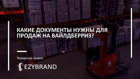 Как продавать на Wildberries в качестве ИП в Элекс
