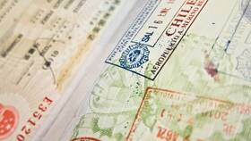 Как продлить срок действия визы в Элекс