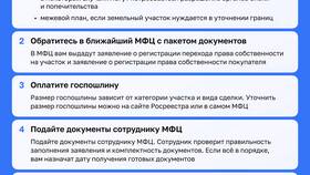 Как происходит продажа участка через МФЦ в Элекс