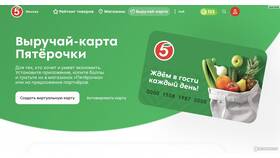 Как проверить, сколько бонусов на карте «Пятёрочка» в Элекс