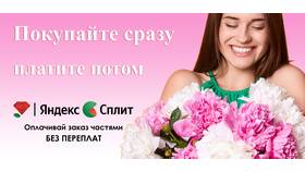 Как убрать Яндекс Сплит из кредитной истории в Элекс