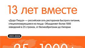 Как устроиться на работу в службу доставки Dodo Pizza в Элекс