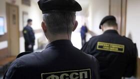 Как узнать арестовано ли имущество судебными приставами в Элекс
