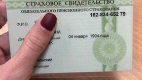 Как узнать номер СНИЛС человека в Элекс
