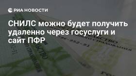 Как узнать номер СНИЛС ПФР онлайн в Элекс