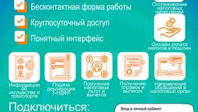 Как вернуть госпошлину из ФНС в Элекс