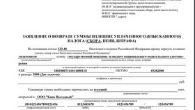 Как вернуть госпошлину, оплаченную через Госуслуги в Элекс