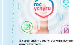 Как внести данные в личный кабинет Госуслуг в Элекс