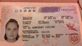 Как выглядит российская виза в Элекс