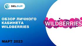 Канал селлеров Wildberries: что это такое в Элекс