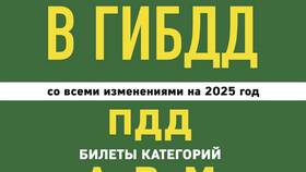 ПДД и СД в ГИБДД 2024: правила и особенности в Элекс