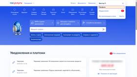 Почему Госуслуги не видят SIM-карту в Элекс