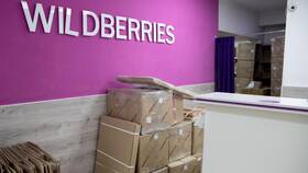 Почему на Wildberries снова платная доставка в Элекс
