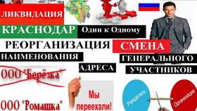Реорганизация юридического лица: порядок и особенности в Элекс