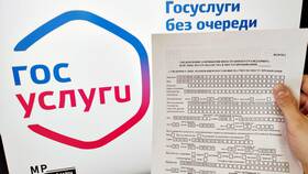 Сроки оформления временной регистрации через Госуслуги в Элекс