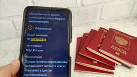 Сроки замены загранпаспорта через Госуслуги в Элекс