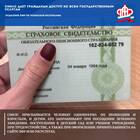 Чем опасно потерять СНИЛС