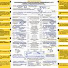 Как правильно заполнить бланк ОСАГО: образец и инструкция